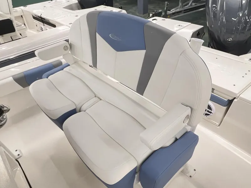 Slide: The Image of Robalo 246 CAYMAN 246 2025 - 4