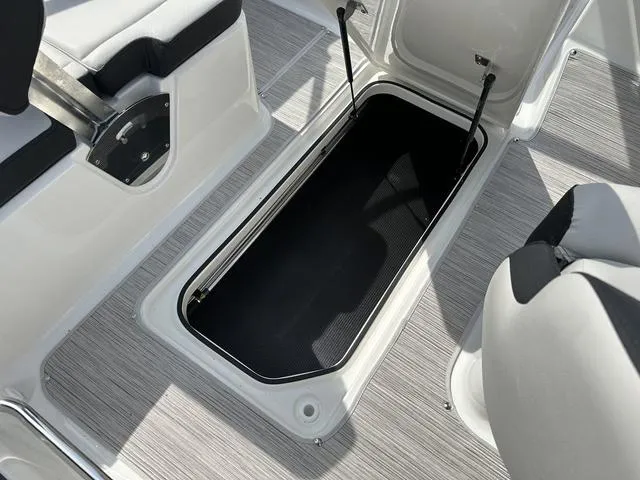 Slide: The Image of Sea Ray SPX 190 2025 - 43