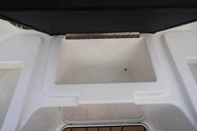 Slide: The Image of Sea Ray SDX 250 Surf 2025 - 30