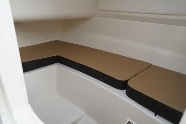 Slide: The Image of Sea Ray SDX 250 Surf 2025 - 42