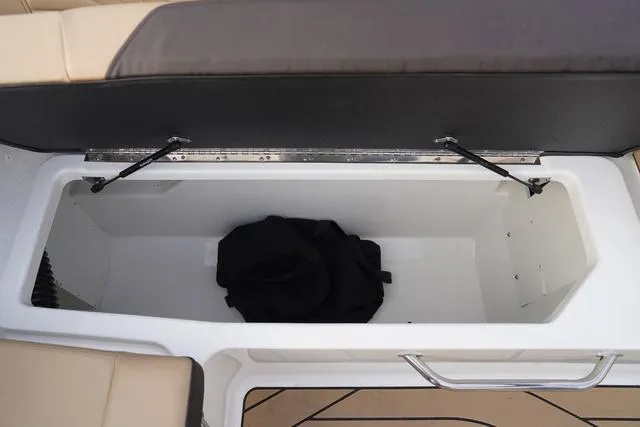 Slide: The Image of Sea Ray SDX 250 Surf 2025 - 43