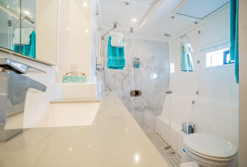 Slide: The Image of Owner's Head and Shower - 33