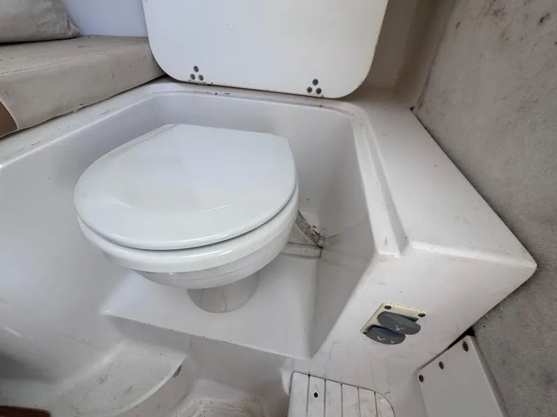 Slide: The Image of Sea Fox 256 WA Voyager 2011 - 67