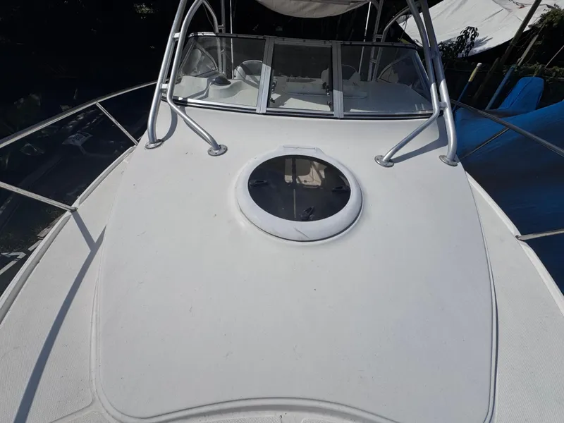 Slide: The Image of Sea Fox 256 WA Voyager 2011 - 81