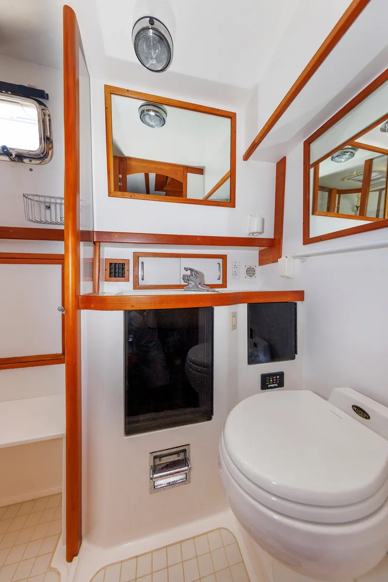 Slide: The Image of Primary Head - 32