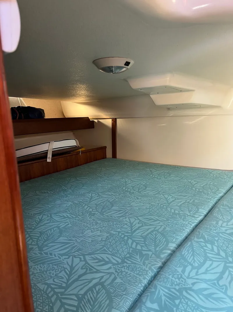 Slide: The Image of Hunter 336 1996 - 33