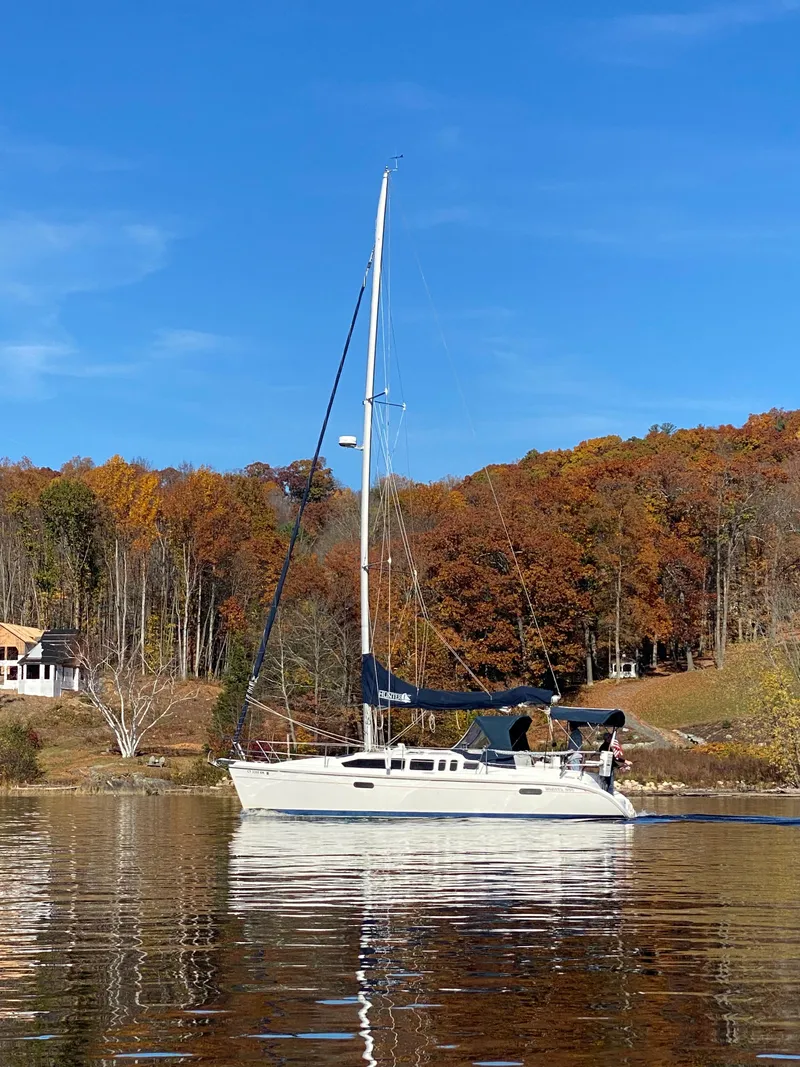 Slide: The Image of Hunter 336 1996 - 8