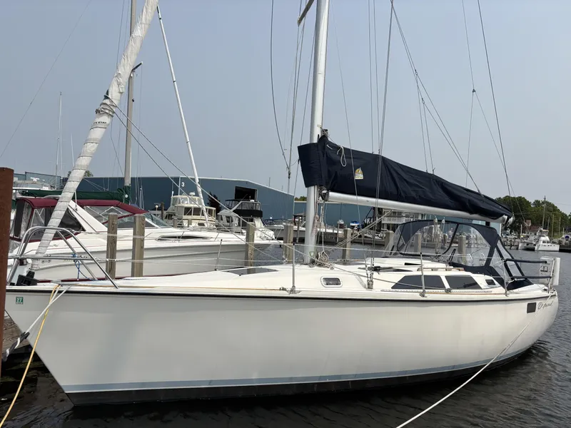 The Image of Sailboat docked at marina, 1990 Hunter 33.5 model, with blue sail cover. - 0