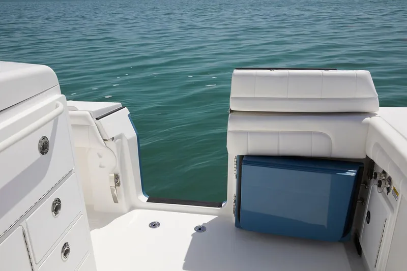 Slide: The Image of Regulator Marine 31 2019 - 19
