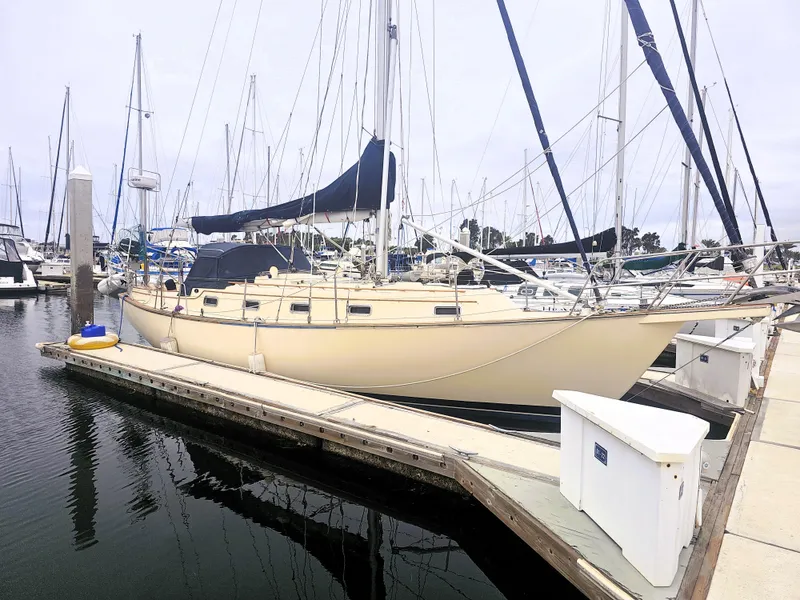 The Image of 1990 Island Packet 35 sailboat docked at marina, surrounded by other boats. - 0