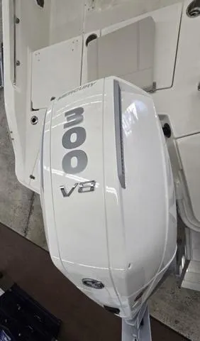 Slide: The Image of Boston Whaler 250 Dauntless 2025 - 10