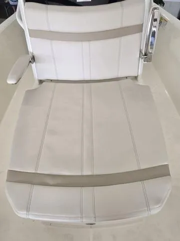 Slide: The Image of Boston Whaler 250 Dauntless 2025 - 6