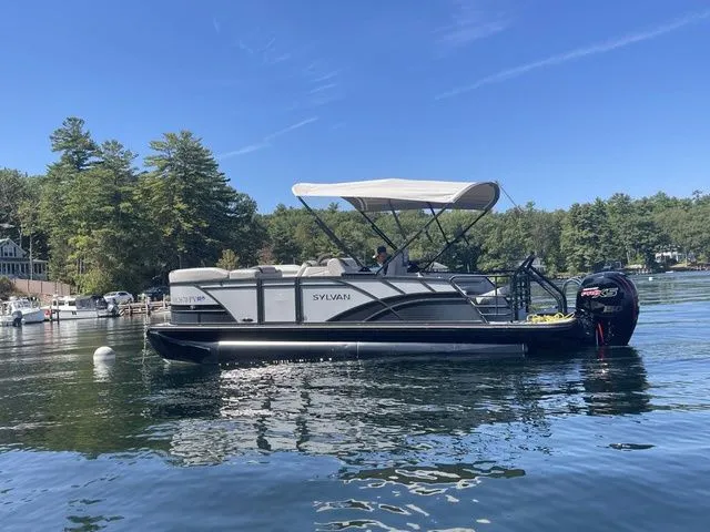 Slide: The Image of Sylvan L1 DLZ 2025 - 2