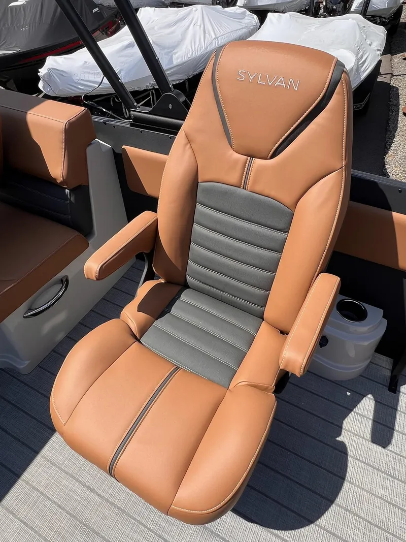 Slide: The Image of Sylvan G3 DLZ DH 2025 - 10