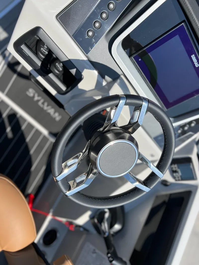 Slide: The Image of Sylvan G3 DLZ DH 2025 - 12