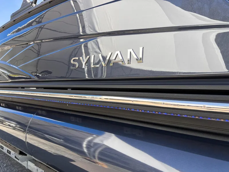 Slide: The Image of Sylvan G3 DLZ DH 2025 - 21