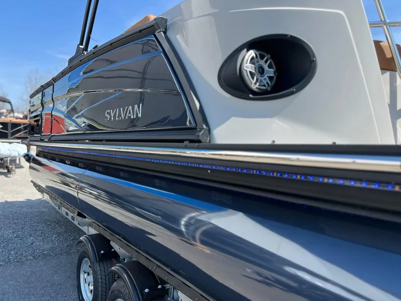 Slide: The Image of Sylvan G3 DLZ DH 2025 - 29