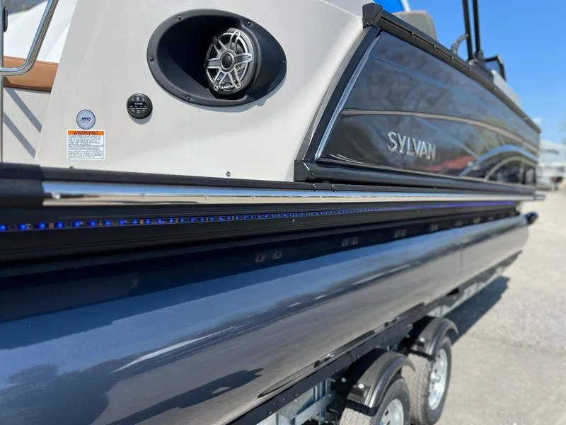 Slide: The Image of Sylvan G3 DLZ DH 2025 - 35