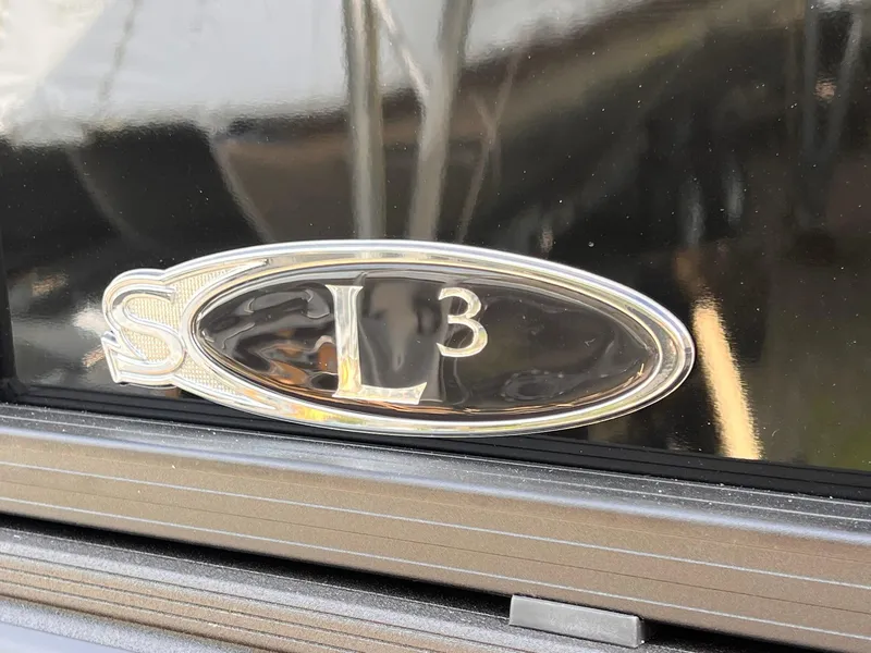 Slide: The Image of 2025 Sylvan L3 CLZ DH WT emblem on a sleek black surface. - 4