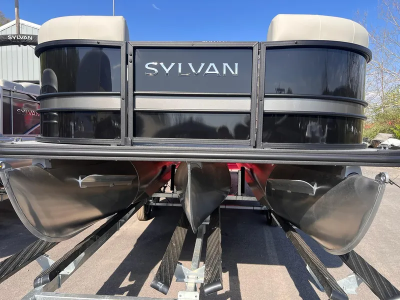 Slide: The Image of Sylvan X3 DLZ Bar 2025 - 4