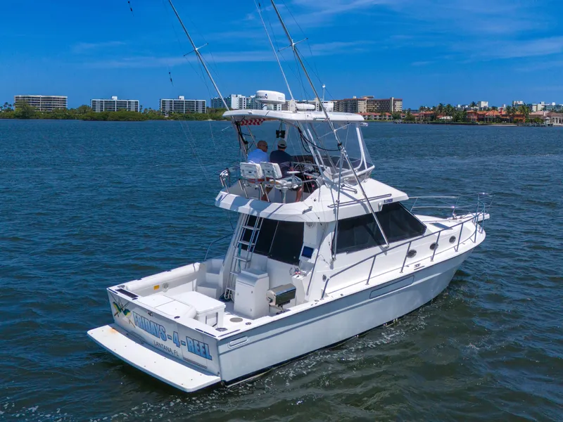 Slide: The Image of 2001 Mediterranean 38 Convertible yacht cruising on a sunny day with cityscape in the background. - 49
