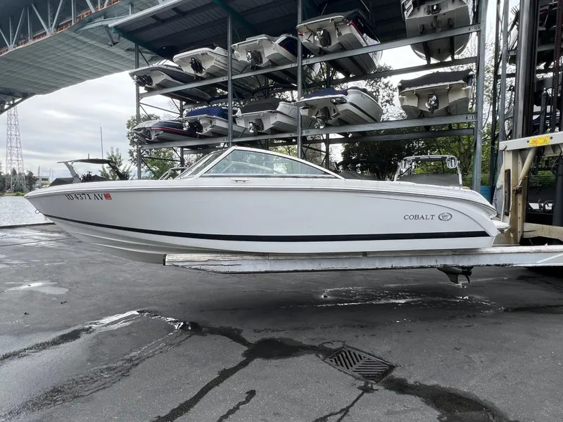 Slide: The Image of Cobalt 220 2015 - 2