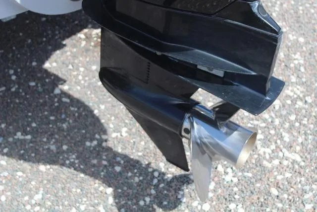 Slide: The Image of Bennington 21 LSNPAPG 2022 - 12