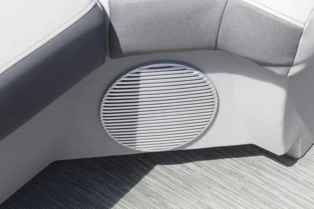 Slide: The Image of Bennington 21 LSNPAPG 2022 - 22