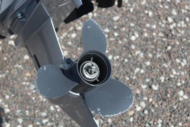 Slide: The Image of Buccaneer 16 2021 - 13