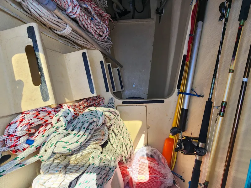 Slide: The Image of Antares 44i 2014 - 50