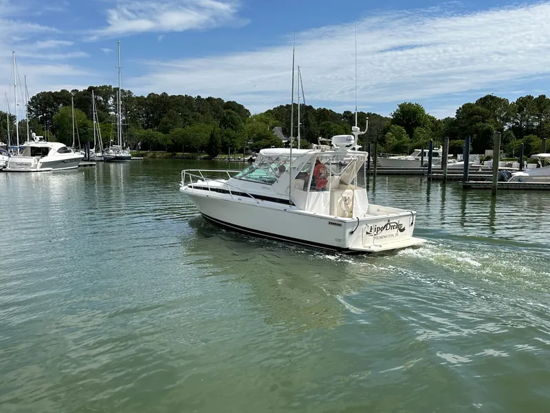 Slide: The Image of 1994 Bertram 30 Express Fisherman boat cruising in a serene marina setting. - 19
