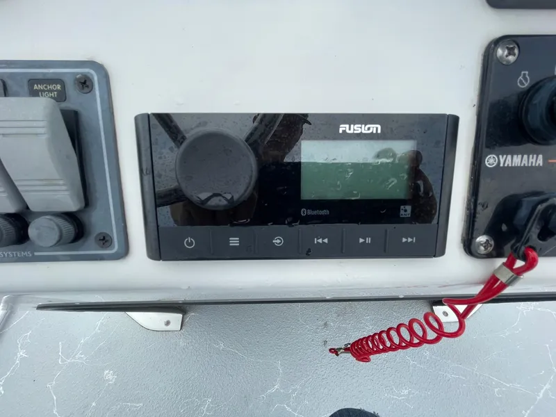 Slide: The Image of Majek 18 Redfish Tunnel Cc 2014 - 20