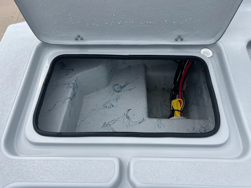 Slide: The Image of Shoalwater 23 Cat 2025 - 28