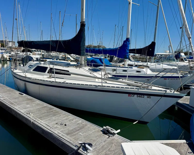 Slide: The Image of 1984 Camper & Nicholsons Nicholson 35 sailboat docked in a marina under clear blue skies. - 1