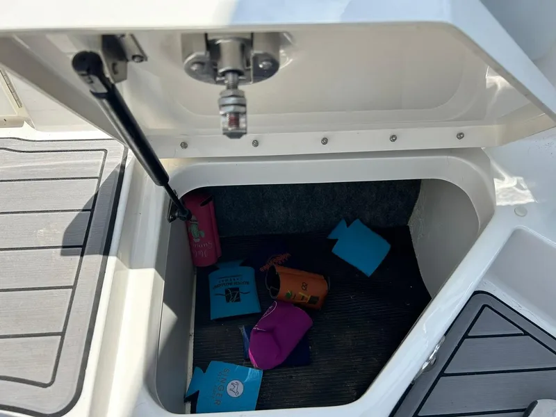 Slide: The Image of Sea Ray SPX 230 2020 - 56