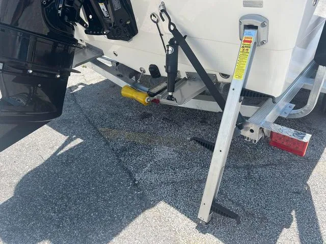 Slide: The Image of Bonita 171 Little Snapper 2024 - 17