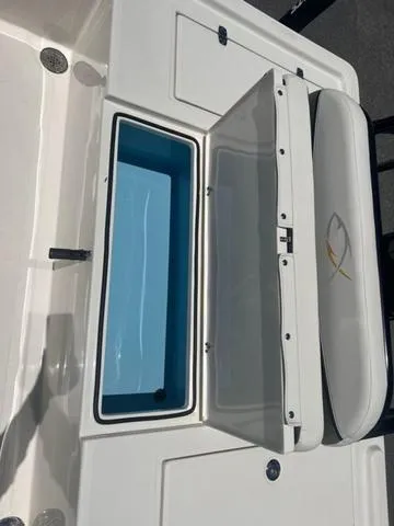 Slide: The Image of Bonita 171 Little Snapper 2024 - 20