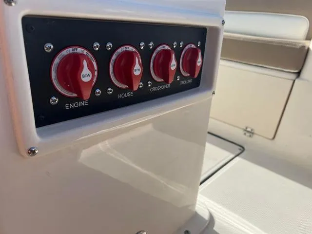 Slide: The Image of Sea Born LX22 2024 - 16