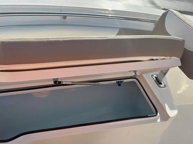 Slide: The Image of Sea Born LX22 2024 - 8