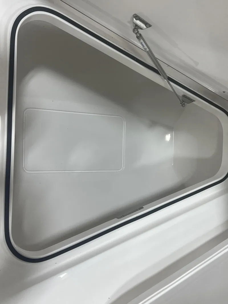 Slide: The Image of Caymas 291 HB 2025 - 11