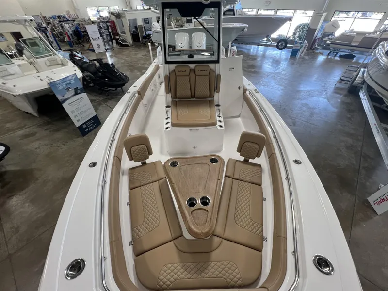 Slide: The Image of Caymas 291 HB 2025 - 19