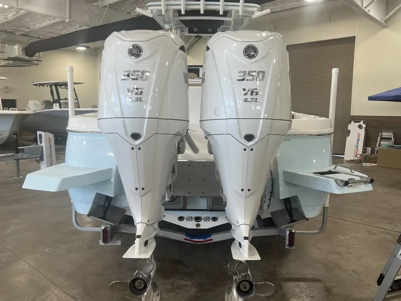 Slide: The Image of Caymas 291 HB 2025 - 4