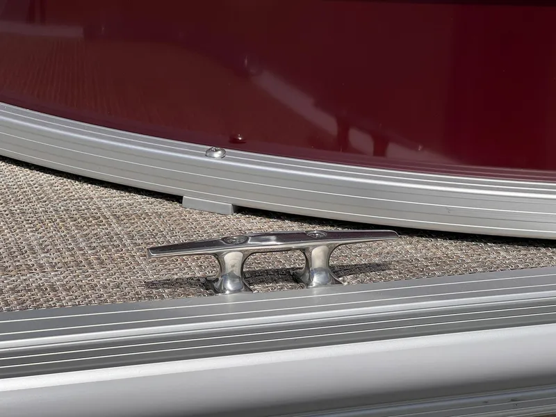 Slide: The Image of Sylvan Mirage Fish 818 Cruise 2025 - 29