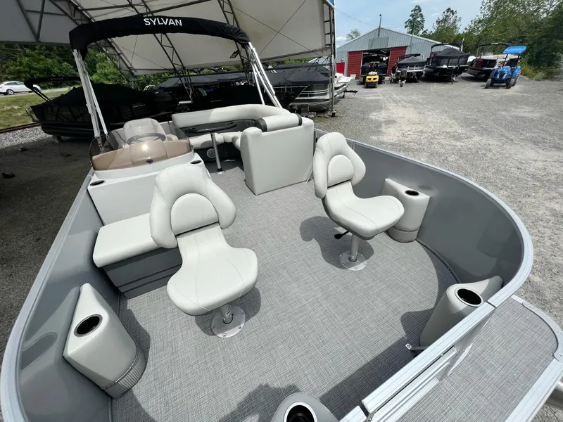 The Image of Sylvan Mirage 818 Fish 2025 - 1