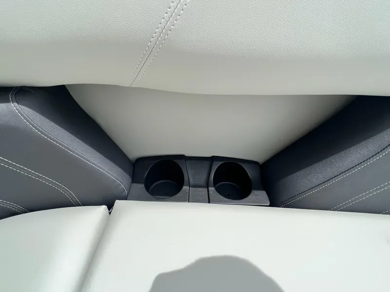 Slide: The Image of Sylvan Mirage 818 Fish 2025 - 10