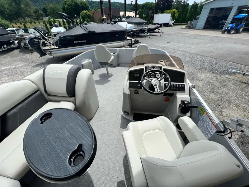 Slide: The Image of Sylvan Mirage 818 Fish 2025 - 13