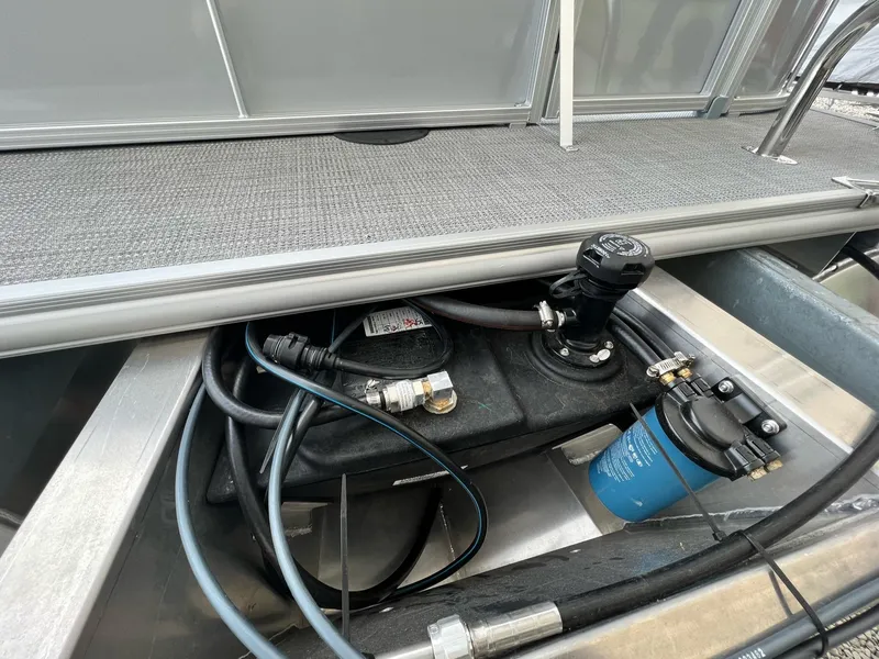 Slide: The Image of Sylvan Mirage 818 Fish 2025 - 15