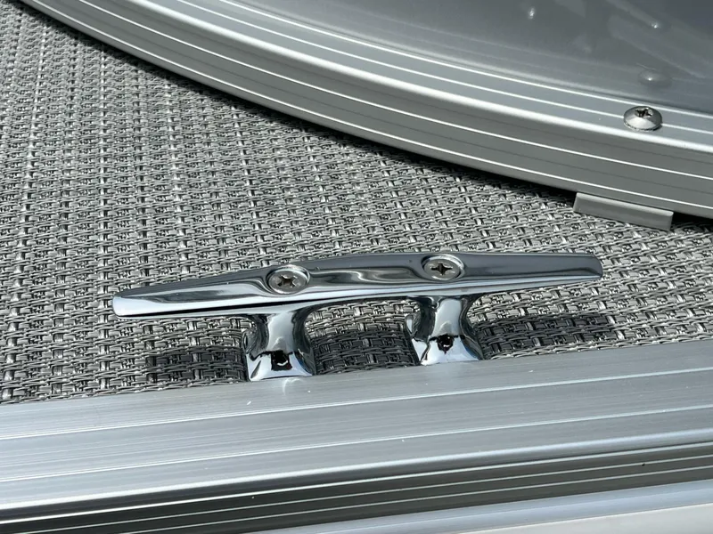 Slide: The Image of Sylvan Mirage 818 Fish 2025 - 17