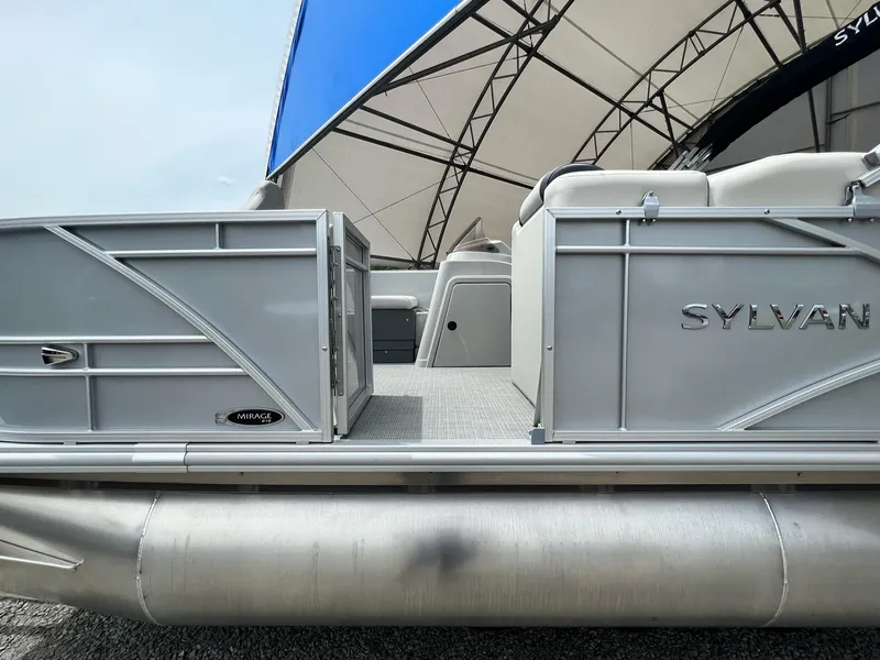 Slide: The Image of Sylvan Mirage 818 Fish 2025 - 18