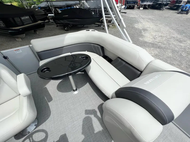 Slide: The Image of Sylvan Mirage 818 Fish 2025 - 21